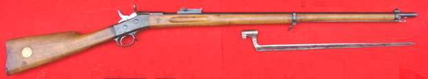 Remington m/1867-89